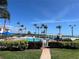 Scenic community pool with palm trees, blue umbrellas, and a distant bridge view on a clear, sunny day at 6277 Bahia Del Mar Blvd # 110, St Petersburg, FL 33715