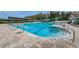 Beautiful community pool and lap lanes featuring clear blue water and surrounding lounge area at 9481 Highland Oak Dr # 1616, Tampa, FL 33647