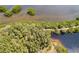 Overhead shot featuring a vibrant landscape of mangroves and waterways with sunlight at 10035 63Rd N Ave # 23, St Petersburg, FL 33708