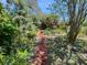 Tranquil garden pathway surrounded by lush greenery and colorful plants, creating a serene outdoor oasis at 1107 S Prospect Ave, Clearwater, FL 33756