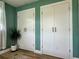 Bedroom closets with sleek black handles set against a fresh green wall at 14019 89Th Ave, Seminole, FL 33776