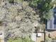 Close aerial view of backyard featuring mature tree and residential house with solar panels at 2009 E Eskimo Ave, Tampa, FL 33604