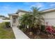 Inviting front entrance with decorative landscaping, featuring palm trees and a neatly kept walkway to the front door at 23734 Coral Ridge Ln, Land O Lakes, FL 34639