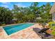 Lush landscaping surrounds this sparkling pool, creating a private oasis at 2623 57Th S St, Gulfport, FL 33707