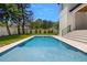 Beautiful backyard pool surrounded by green grass and lush landscaping at 3020 W Helen Ave, Tampa, FL 33611