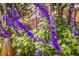 The garden is filled with vibrant purple flowers and lush greenery, creating a peaceful and visually appealing space at 477 44Th N Ave, St Petersburg, FL 33703