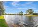Scenic pond view, highlighting the tranquil and picturesque setting of the property at 5310 Bellefield Dr, Tampa, FL 33624
