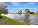 Picturesque waterfront property showcasing a serene lake, lush greenery, and clear blue skies at 5310 Bellefield Dr, Tampa, FL 33624