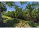 Lush backyard with mature trees and green space, providing a serene and private outdoor setting at 8421 Millwood Dr, Tampa, FL 33615