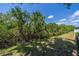 Beautiful backyard with mature trees and green space, providing a serene and private outdoor setting at 8421 Millwood Dr, Tampa, FL 33615