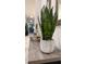 Stylish decor in the hallway showcases a decorative plant, a tray of glasses, and a decorative mirror at 8732 Rain Song Rd, Sarasota, FL 34238