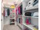 Organized walk-in closet featuring shelving, hanging racks and ample storage for clothing and accessories at 9843 Cabernet Ave, Seffner, FL 33584