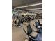 Community gym featuring cardio machines, weights and fitness equipment at 1903 Canterbury Ln # B2, Sun City Center, FL 33573