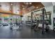 Spacious gym featuring free weights, weight machines, treadmills, and mirrored walls at 19529 Lily Pond Ct, Brooksville, FL 34601