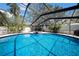 A relaxing pool is encased in a screen enclosure to keep unwanted bugs away from the pool at 4106 W Cleveland St, Tampa, FL 33609