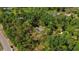 Aerial view reveals the property amidst a dense canopy of trees at 7537 Old Pasco Rd, Wesley Chapel, FL 33544