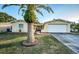 Single-story home with a two-car garage and manicured lawn, enhanced by a mature palm at 8026 Norwich Dr, Port Richey, FL 34668