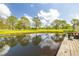Scenic pond view from the wooden deck, surrounded by lush green trees and a bright blue sky with fluffy clouds at 13512 Palmwood Ln # 13512, Tampa, FL 33618
