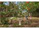 Tranquil backyard adorned with flamingo statues, a bird bath, and vibrant red flowers creating a serene atmosphere at 14199 82Nd Avenue, Seminole, FL 33776