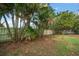 Backyard with a wooden fence and lush palm trees, offering privacy and tropical ambiance at 14199 82Nd Avenue, Seminole, FL 33776
