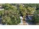 Aerial view of cozy home with mature trees and lush landscaping in residential area at 3020 E Louisiana Ave, Tampa, FL 33610