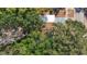 An aerial view of the home features mature trees and architectural details at 3020 E Louisiana Ave, Tampa, FL 33610