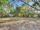 Large, vacant lot with mature trees surrounds the lot at 3020 E Louisiana Ave, Tampa, FL 33610