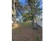Large, grassy backyard with mature trees providing ample shade at 342 51St N Ave, St Petersburg, FL 33703