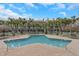Community pool surrounded by palm trees and tiki umbrellas with lounge seating at waterfront condos at 375 Madeira Cir, St Petersburg, FL 33715