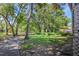 A backyard space with trees and green space at 403 Saint Petersburg W Dr, Oldsmar, FL 34677