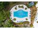 Aerial view of a modern geometric community pool surrounded by palm trees and lounge chairs at 4224 Crayford Ct, Land O Lakes, FL 34638