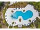 Aerial view of a sleek community pool with beach entry, lounge chairs and palm trees at 4224 Crayford Ct, Land O Lakes, FL 34638