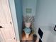 Powder room with blue walls, featuring a toilet and decorative accents at 4702 Cypress Serenity Dr, Plant City, FL 33565