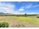 Home backyard with lush green grass and wetland views at 582 Royal Empress Dr, Ruskin, FL 33570