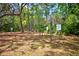 Outdoor exercise area with multiple stations surrounded by lush greenery and mature trees at 7333 Royal Oak Dr, Spring Hill, FL 34607