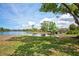 Scenic pond view featuring lush green grass and a charming wooden bridge at 7333 Royal Oak Dr, Spring Hill, FL 34607