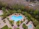Aerial view of a community pool area with lounge chairs, palm trees, and a spa, perfect for relaxation at 8219 Summer Brook Ct, Land O Lakes, FL 34638