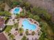 Aerial view of the community pools with palm trees, lounge chairs and tables surrounded by a lush wooded landscape at 8219 Summer Brook Ct, Land O Lakes, FL 34638
