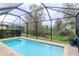Sparkling swimming pool surrounded by a screened enclosure and green landscaping at 8219 Summer Brook Ct, Land O Lakes, FL 34638