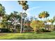 Expansive front yard featuring lush green grass, mature palms, and tropical foliage under a clear, sunny sky at 11246 Kapok Grand Cir, Madeira Beach, FL 33708