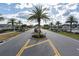 Community street with palm trees, landscaped entry and views of the houses at 12499 Longstone Ct, New Port Richey, FL 34655