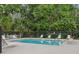 Relaxing pool area with lounge chairs, surrounded by lush green trees for a private and serene experience at 12736 Wood Trail Blvd, Tampa, FL 33625