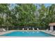 Community pool surrounded by lush trees and lounge chairs for relaxation at 12736 Wood Trail Blvd, Tampa, FL 33625
