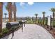 Community grilling area with modern grills, lush landscaping, and a paved walkway at 20659 Drake Elm Dr, Land O Lakes, FL 34638