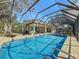 Inviting in-ground screened pool with a stone patio, surrounded by lush landscaping and ample seating at 213 Sheffield E Cir, Palm Harbor, FL 34683