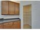 Convenient walk-in pantry provides ample storage space, adjacent to kitchen cabinets with countertop at 2515 Centennial Falcon Dr, Valrico, FL 33596