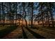 Beautiful sunset view through the trees, showcasing a tranquil recreation area and waterfront access for residents at 2700 Bayshore Blvd # 547, Dunedin, FL 34698