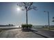 Scenic waterfront view featuring a large tree, benches, and a serene body of water at 2700 Bayshore Blvd # 547, Dunedin, FL 34698