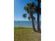 Tranquil waterfront view with palm trees and a boat on the water at 2700 Bayshore Blvd # 547, Dunedin, FL 34698