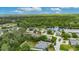 Scenic aerial view of a home with mature trees and lush greenery in a tranquil, park-like setting near a pond at 3004 Spring Hammock Dr, Plant City, FL 33566